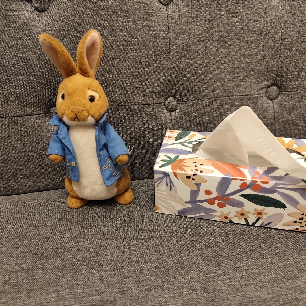 Ty Peter Rabbit Stuffed Bunny - Picture 3 of 5